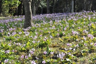 18.4.18.1.jpg