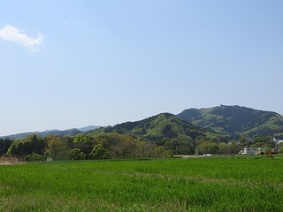 18.4.19.1.jpg