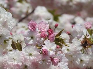 18.4.19.2.jpg
