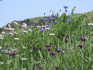 18.4.21.2.jpg