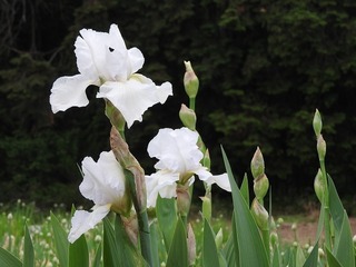 18.4.27.2.jpg
