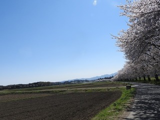 18.4.5.1.jpg