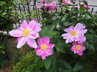 18.5.10.1.jpg
