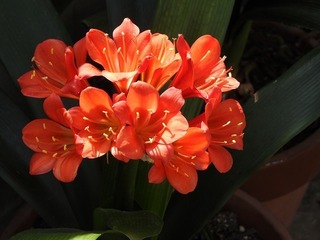 18.5.13.2.jpg