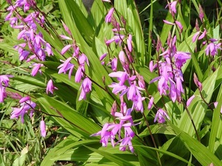 18.5.13.3.jpg