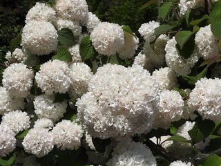 18.5.15.2.jpg