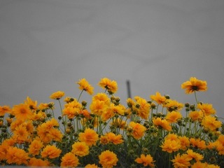 18.5.15.3.jpg