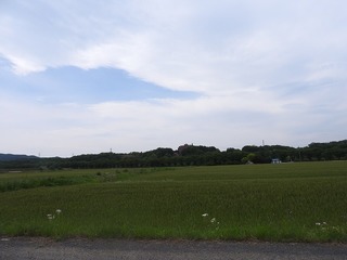 18.5.17.1.jpg