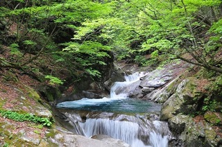 18.5.19.2.jpg