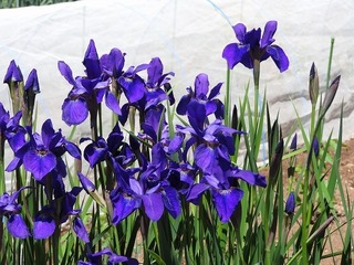 18.5.2.2.jpg