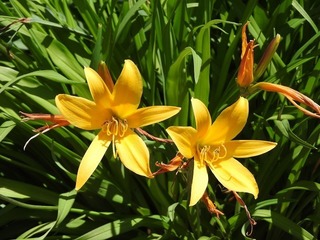18.5.2.3.jpg