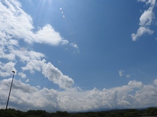 18.5.20.1.jpg
