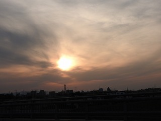 18.5.20.3.jpg