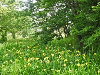 18.5.22.jpg