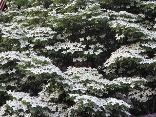 18.5.24.1.jpg