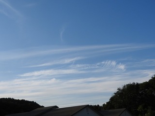 18.5.25.1.jpg