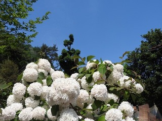 18.5.28.1.jpg