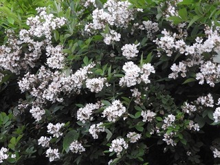 18.5.28.2.jpg