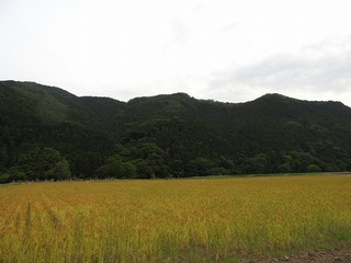 18.5.31.1.jpg