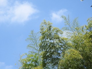 18.6.11.1.jpg