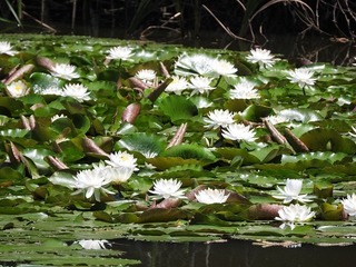 18.6.11.2.jpg