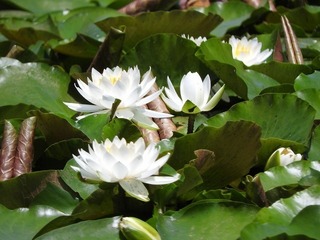18.6.11.3.jpg