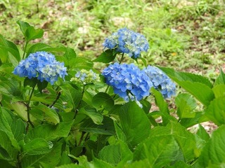 18.6.18.1.jpg