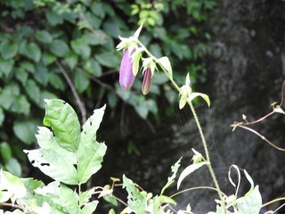 18.6.18.2.jpg