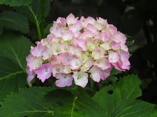 18.6.18.3.jpg