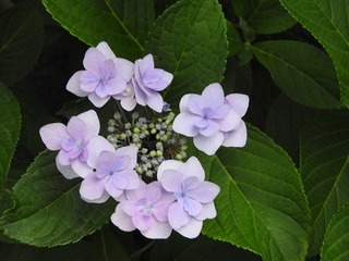 18.6.21.1.jpg