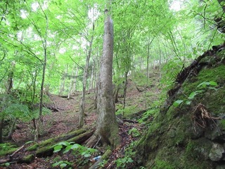 18.6.25.2.jpg