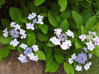 18.6.27.1.jpg