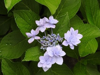 18.6.27.2.jpg