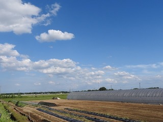 18.6.28.3.jpg