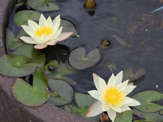 18.7.11.1.jpg