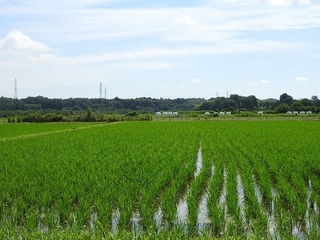 18.7.15.10.jpg