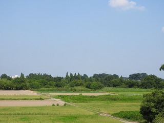 18.7.27.1.jpg