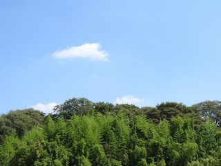 18.7.29.1.jpg