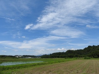 18.7.5.1.jpg