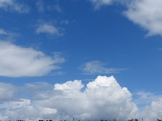 18.8.25.1.jpg