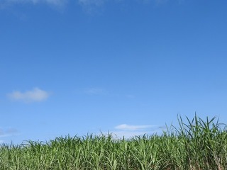 18.8.30.2.jpg