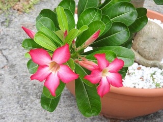 18.9.13.2.jpg