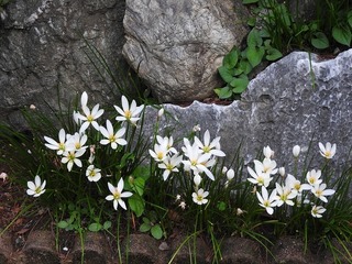 18.9.26.jpg