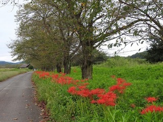 18.9.27.1.jpg