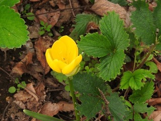 18.9.28.3.jpg