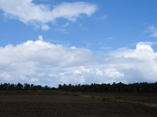 18.9.8.1.jpg