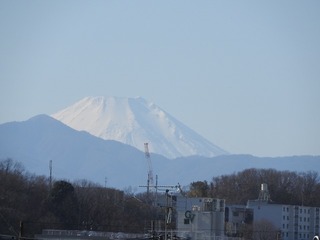 19.1.16..jpg