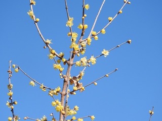 19.1.16.2.jpg