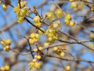 19.1.16.3.jpg
