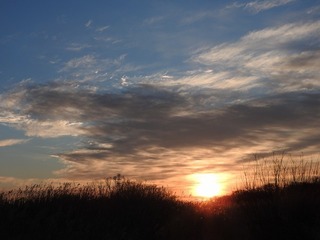19.1.18.1.jpg